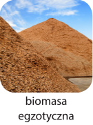 biomasa egzotyczna